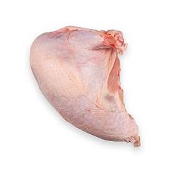  سینه بوقلمون(حداقل 2ک سفارش)